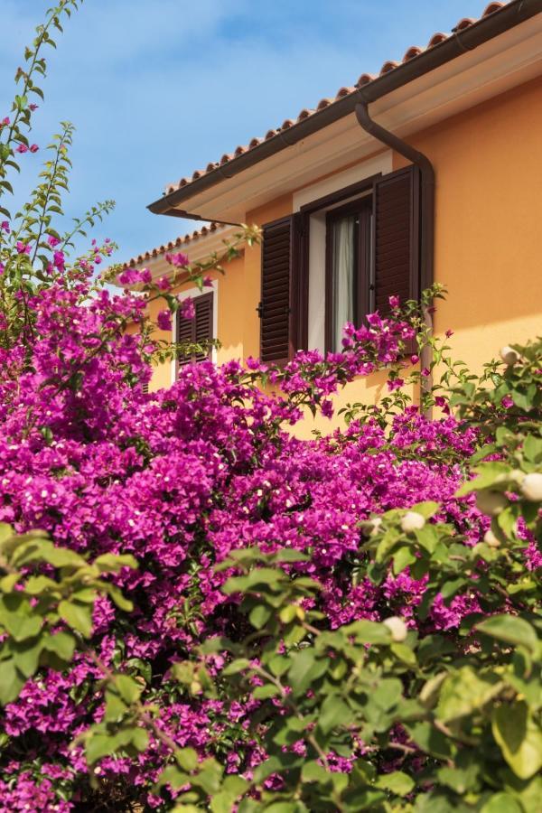 Residence Agrifoglio Monte Petrosu Exterior photo
